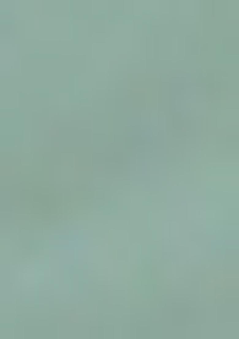 Green Ethnic Motifs Georgette Kurta For Men