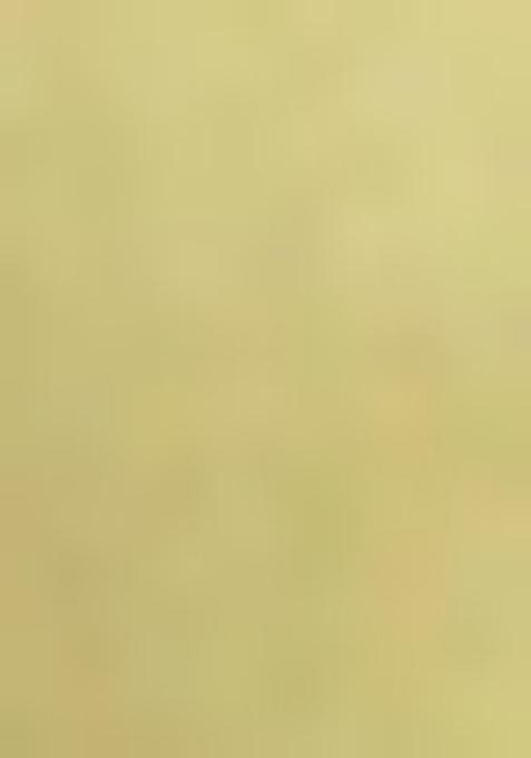 Green Yoke Design Cotton Silk Kurta Set For Men