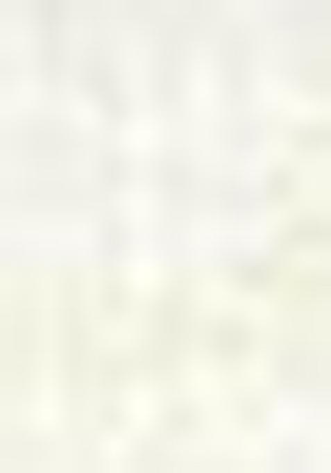 Yellow Printed Cotton Kurta Set For Men