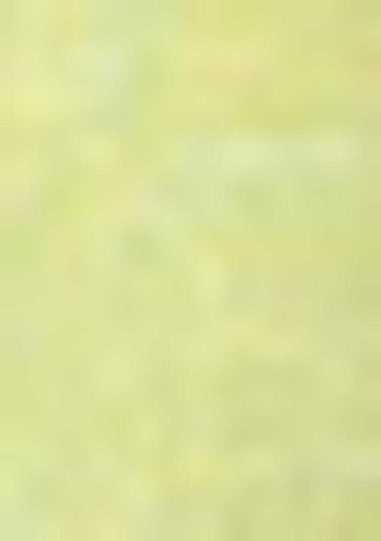 Pastel Embroidered Cotton Kurta Set For Men