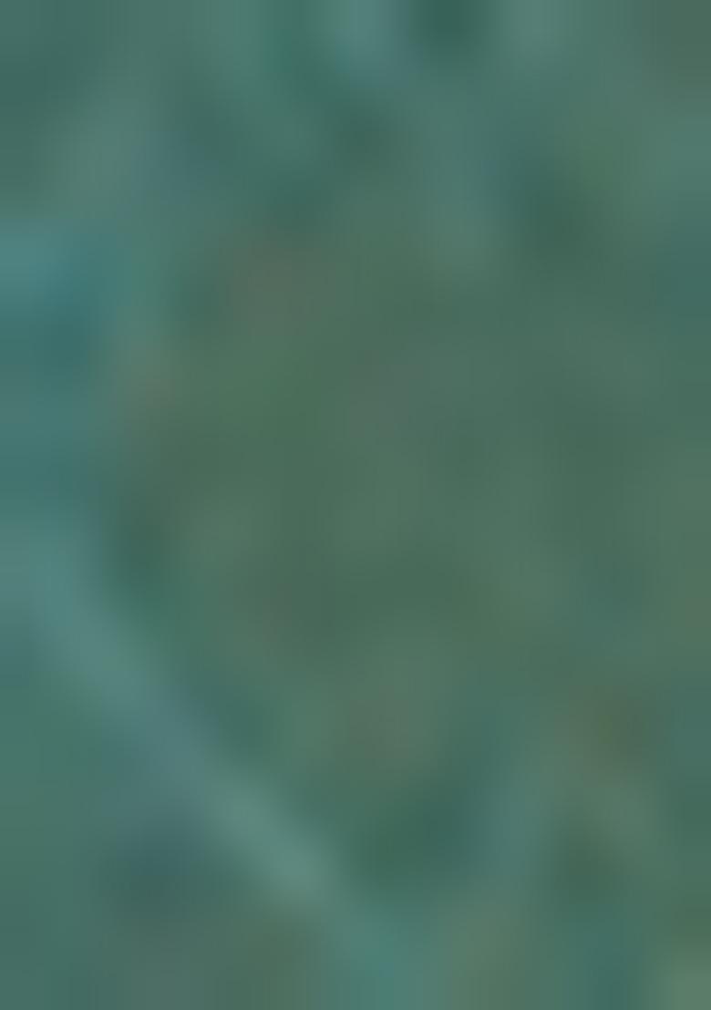 Green Embroidered Silk Kurta Set For Men