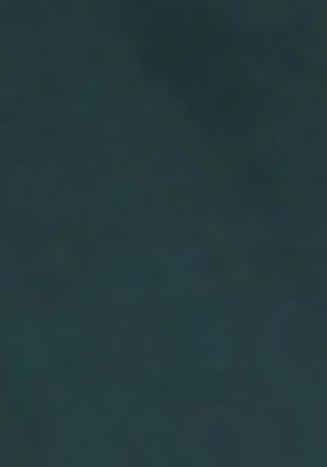 Green Embroidered Cotton Blend Kurta For Men