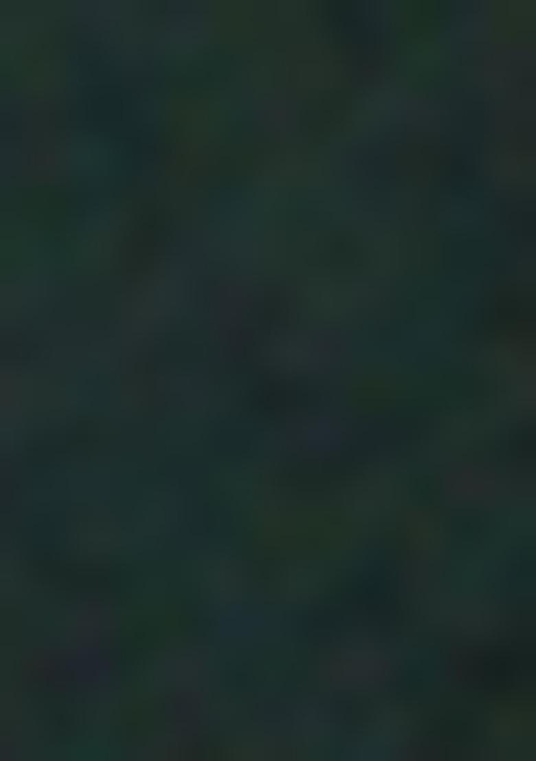 Deep Green Chikankari Cotton Kurta For Men