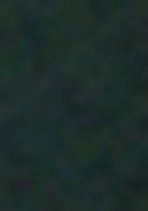 Deep Green Chikankari Cotton Kurta For Men