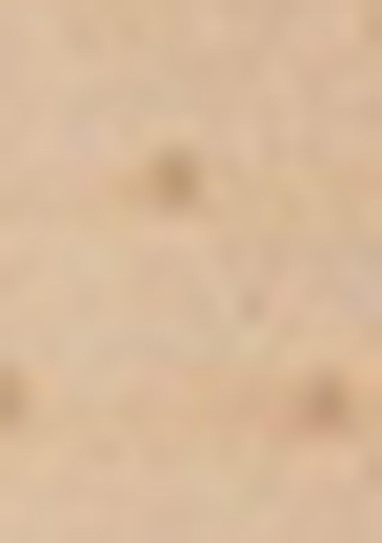 Beige Pintux Work Jacquard Kurta Set For Men