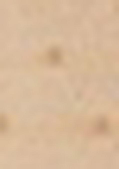 Beige Pintux Work Jacquard Kurta Set For Men