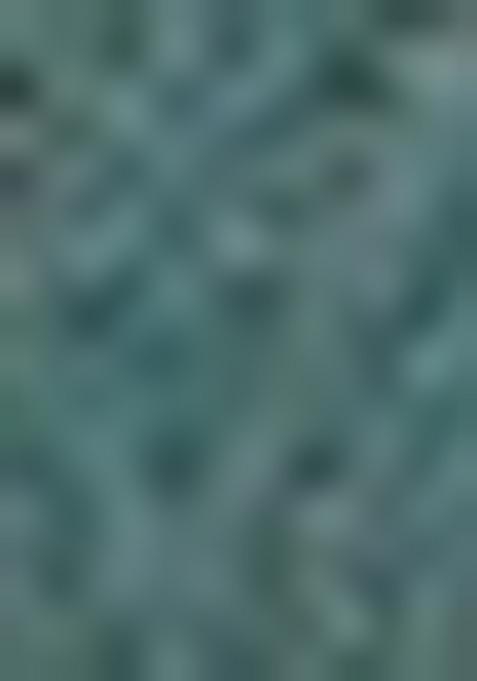 Green Pintux Work Jacquard Kurta Set For Men