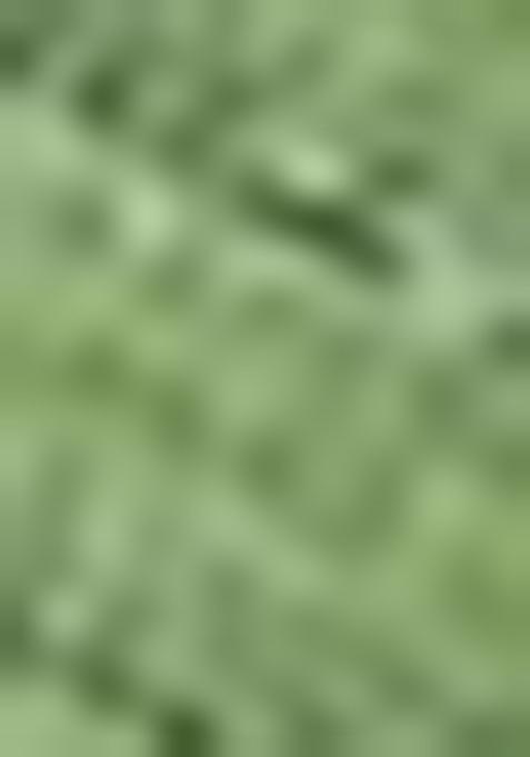 Green Embroidered Viscose Kurta Set For Men