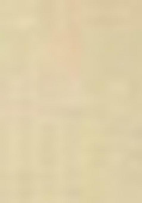 Lemon Yellow Embroidered Cotton Kurta Set For Men