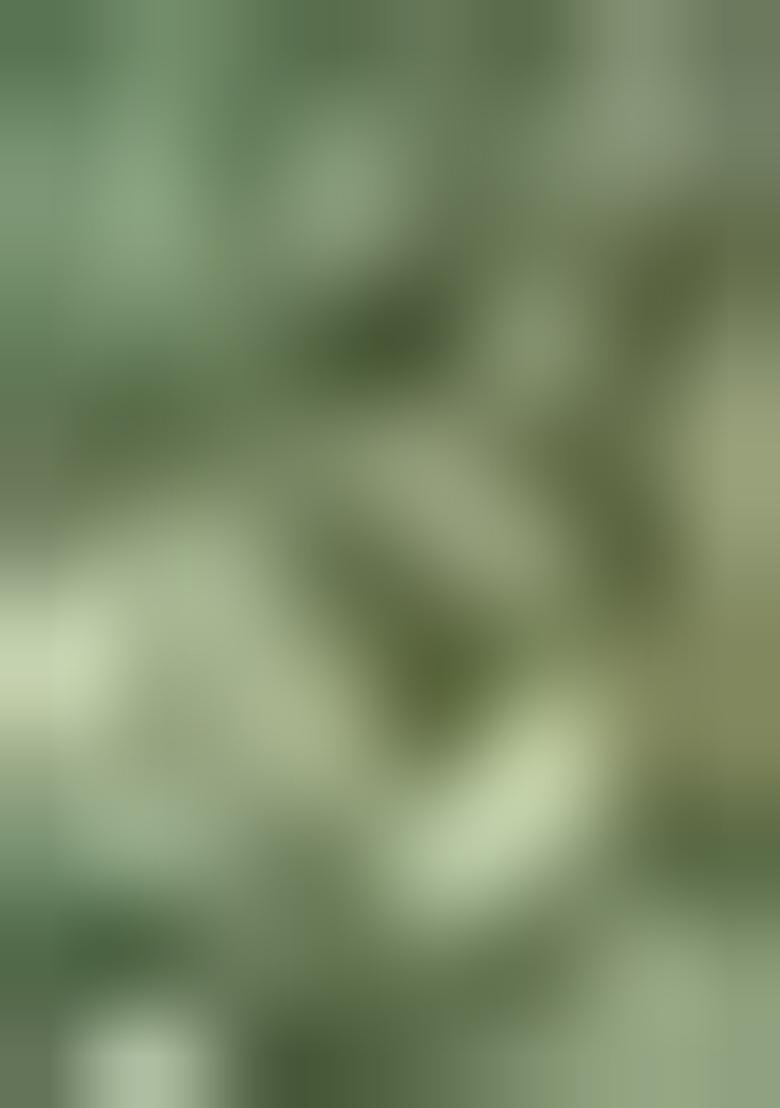 Green Printed Cotton Kurta Set For Men