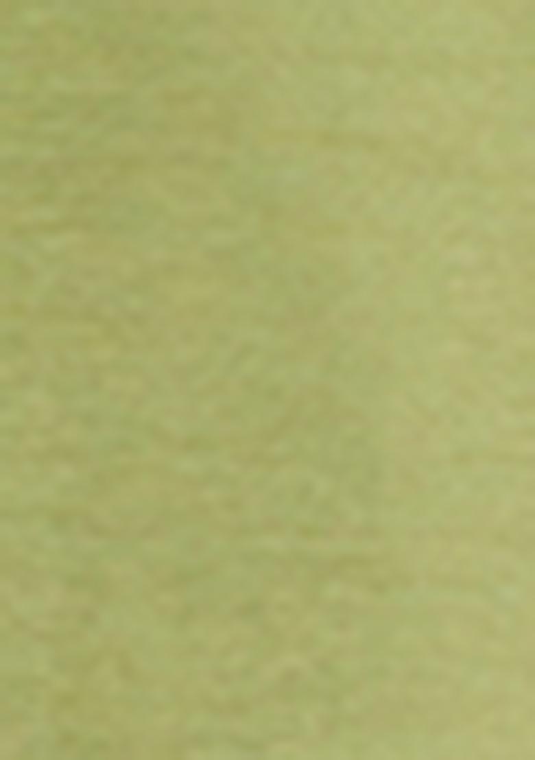 Parrot Green Pintux Work Pure Silk Kurta Set For Men