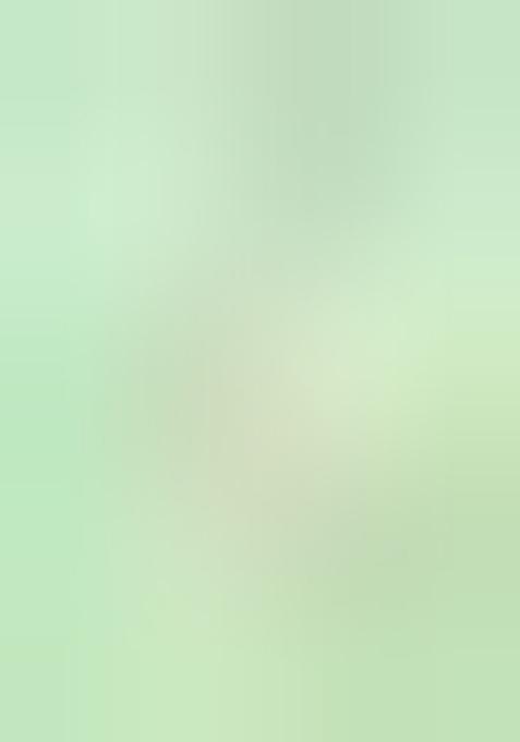 Green Embroidered Jacquard Indo Western Sherwani Set For Men