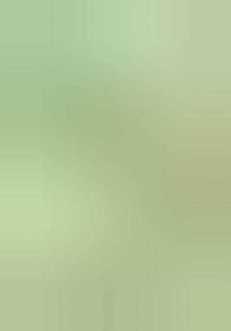 Green Embroidered Jacquard Indo Western Sherwani Set For Men