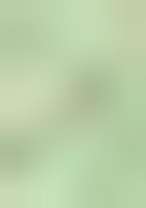 Green Embroidered Jacquard Indo Western Sherwani Set For Men