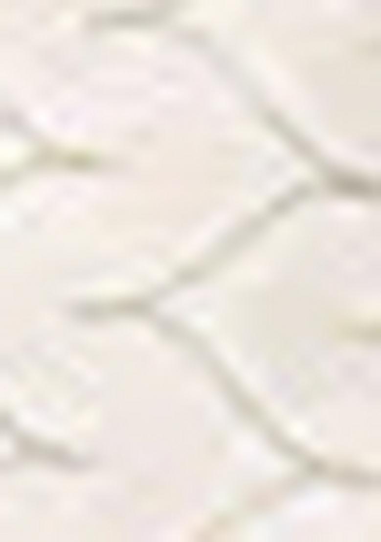 Cream Embroidered Jacquard Indo Western Sherwani Set For Men