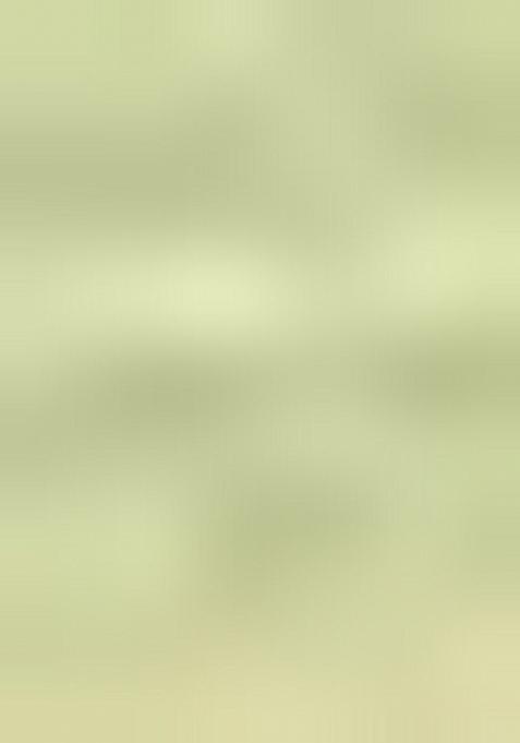 Gold And Green Embroidered Jacquard Indo Western Sherwani Set For Men