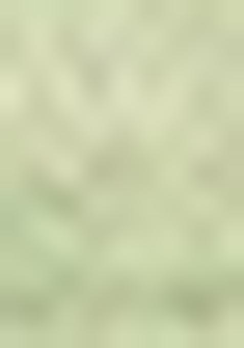 Gold And Green Embroidered Jacquard Indo Western Sherwani Set For Men