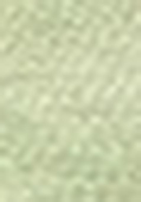 Gold And Green Embroidered Jacquard Indo Western Sherwani Set For Men