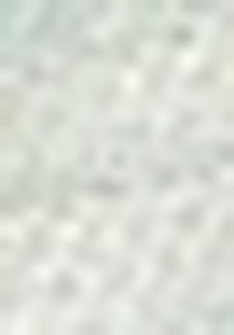 Mint Green Embroidered Jacquard Indo Western Sherwani For Men