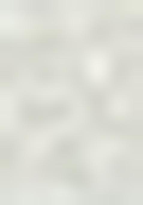 Mint Green Embroidered Jacquard Indo Western Sherwani For Men