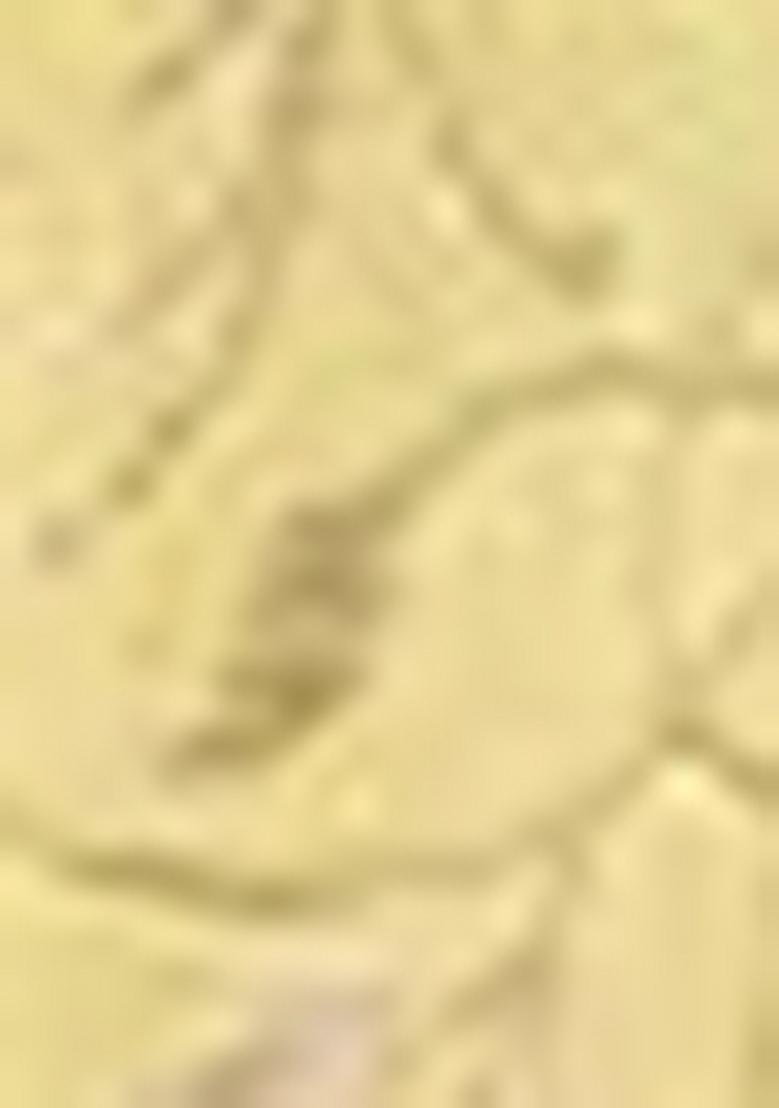 Green Embroidered Jacquard Indo Western Sherwani Set For Men