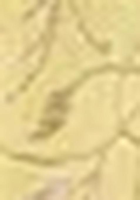 Green Embroidered Jacquard Indo Western Sherwani Set For Men