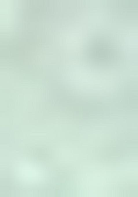 Mint Green Embroidered Jacquard Indo Western Sherwani For Men