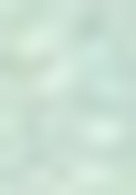 Mint Green Embroidered Jacquard Indo Western Sherwani Set For Men