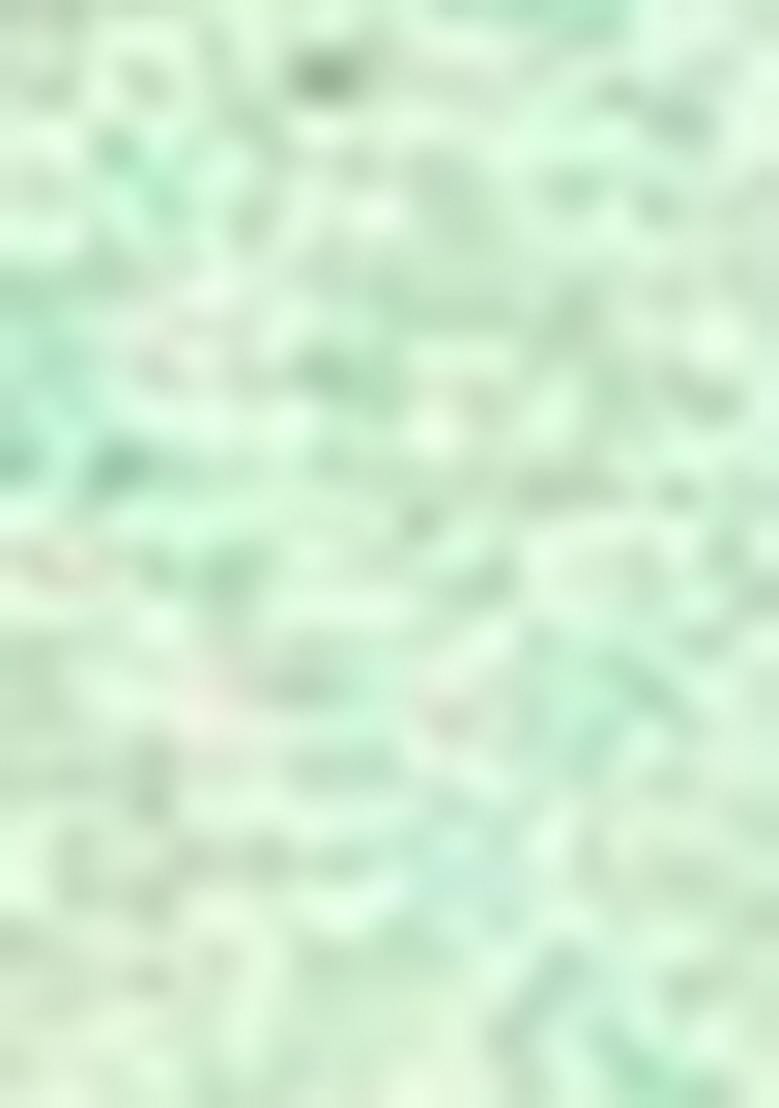 Mint Green Embroidered Jacquard Indo Western Sherwani Set For Men