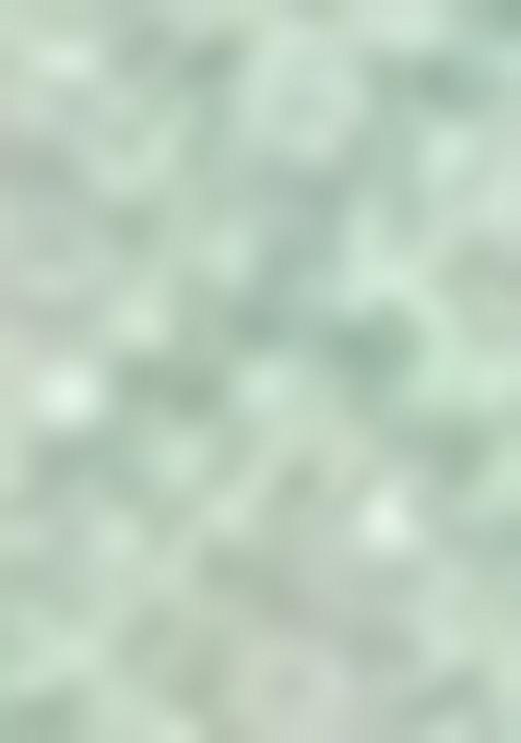 Mint Green Embroidered Jacquard Indo Western Sherwani Set For Men