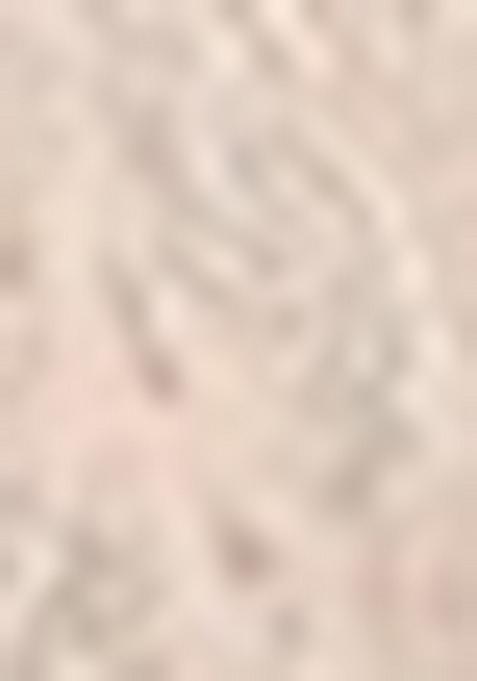 Rose Gold Embroidered Brocade Indo Western Sherwani Set For Men