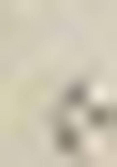 Grey Embroidered Brocade Indo Western Sherwani Set For Men