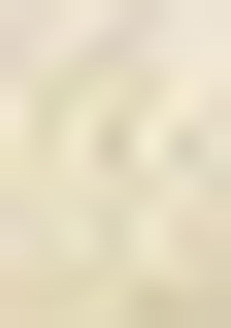 Cream Embroidered Jacquard Indo Western Sherwani Set For Men