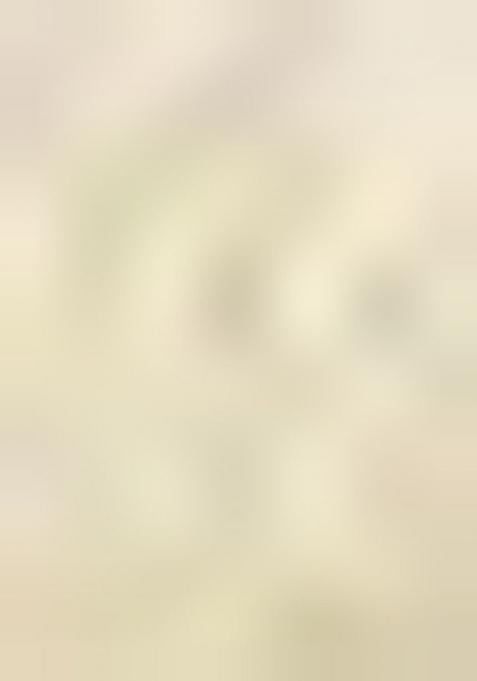 Cream Embroidered Jacquard Indo Western Sherwani Set For Men