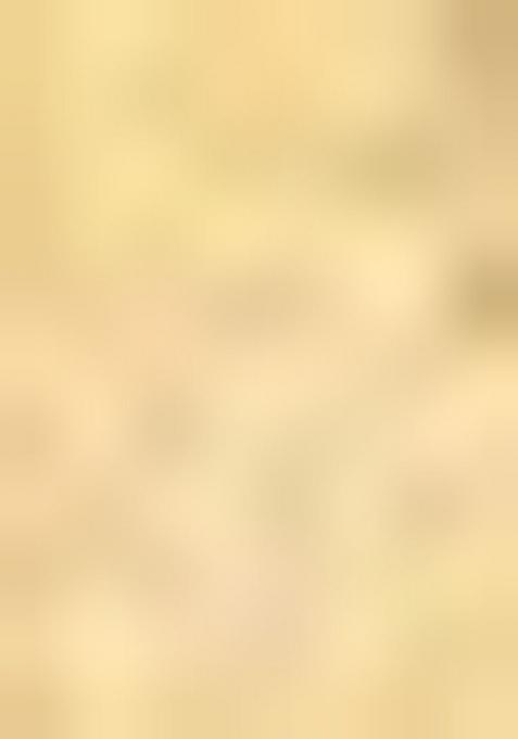 Fawn Orange Embroidered Jacquard Indo Western Sherwani Set For Men