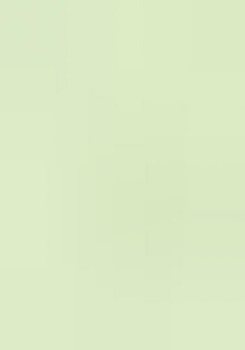 Sea Green Embroidered Jacquard Indo Western Sherwani Set For Men