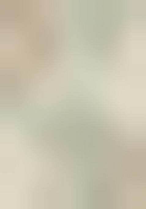 Green Printed Cotton Kurta Sets For Men