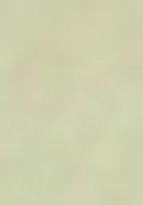 Mehendi Green Floral Cotton Kurta For Men