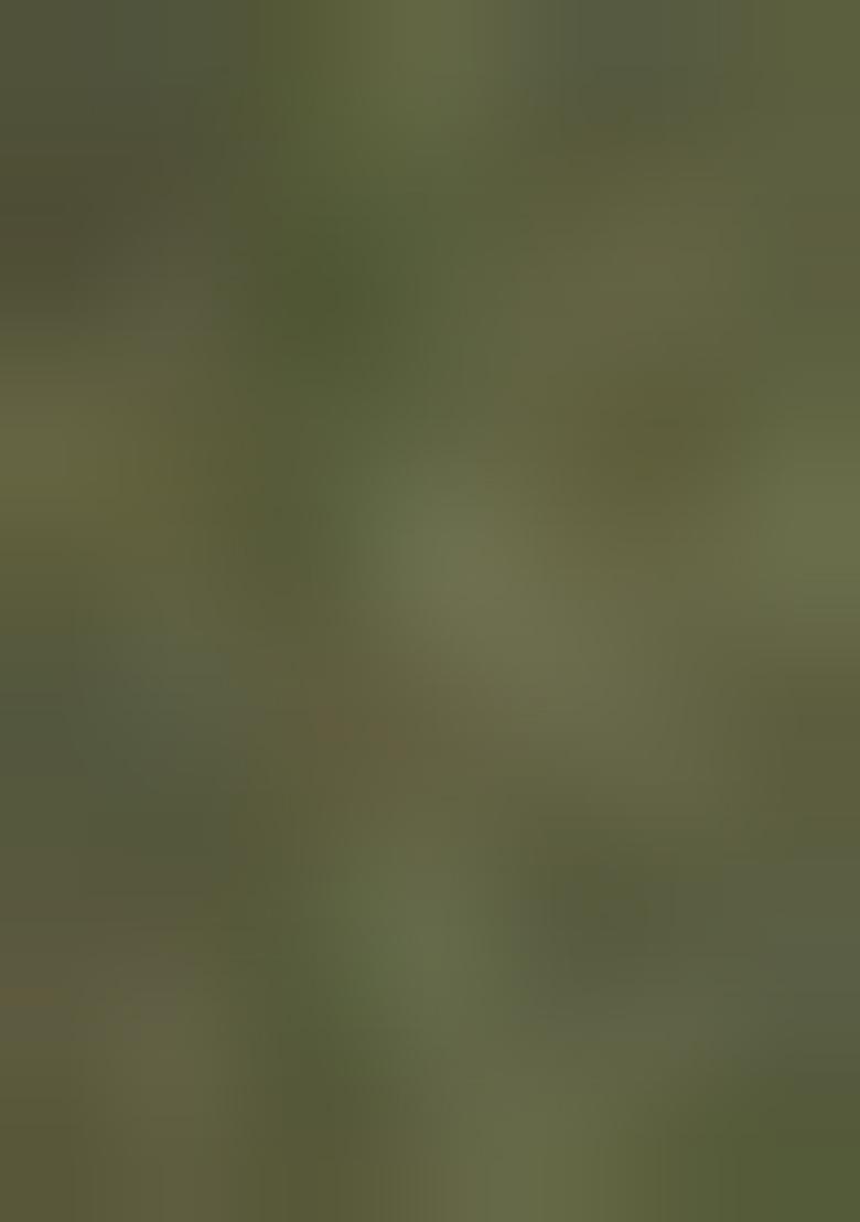 Mehendi Green Batik Silk Blend Kurta For Men