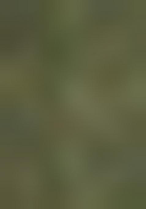 Mehendi Green Batik Silk Blend Kurta For Men