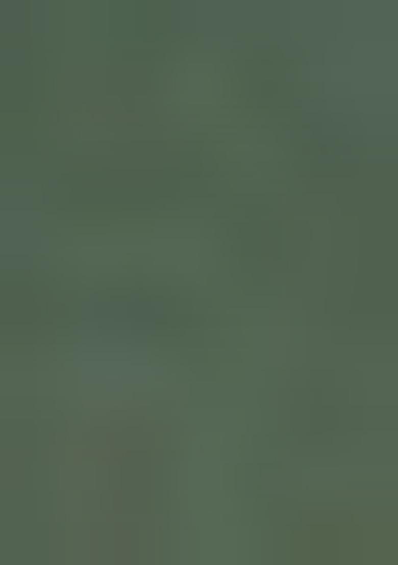 Green Solid Cotton Blend Kurta For Men