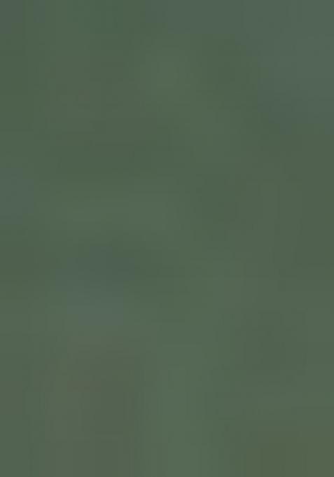 Green Solid Cotton Blend Kurta For Men