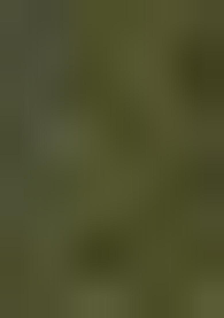 Mehendi Green Embroidered Cotton Kurta Set For Men