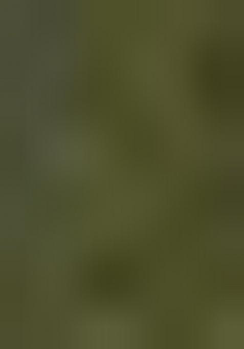 Mehendi Green Embroidered Cotton Kurta Set For Men