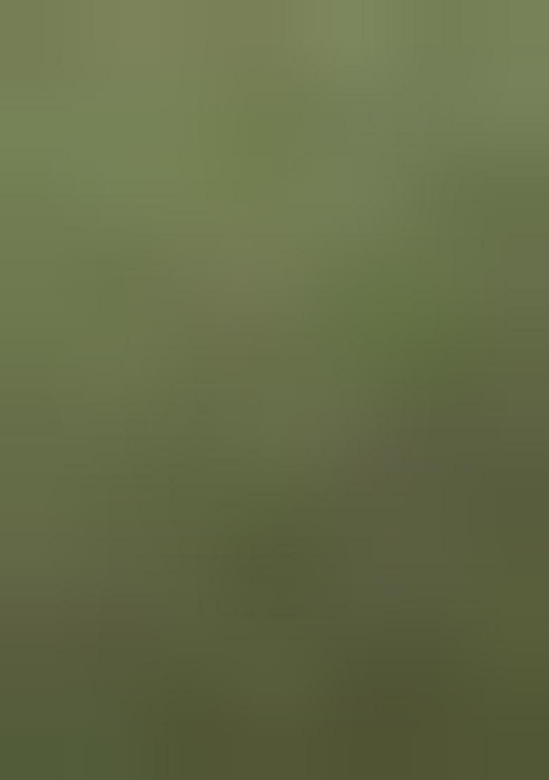 Green Printed Jacquard Nehru Jacket For Men