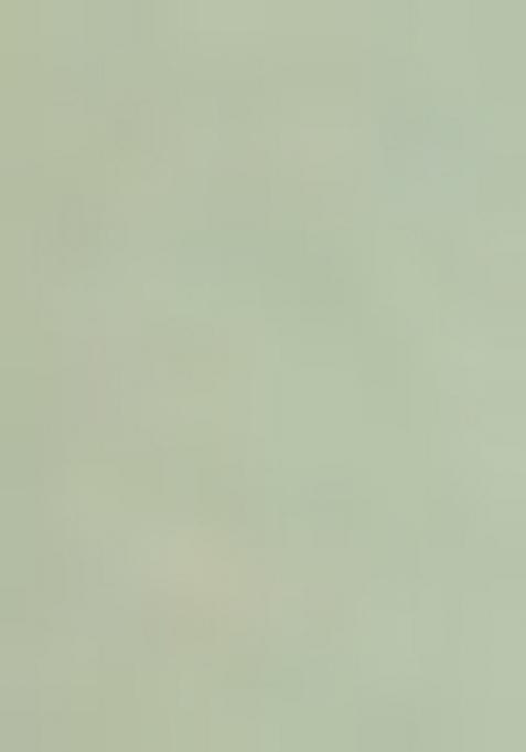 Green Solid Cotton Blend Kurta For Men