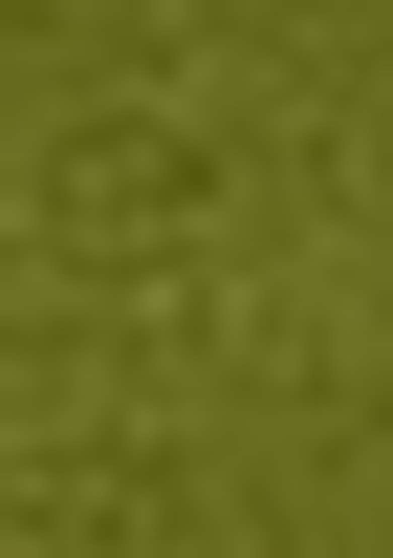 Mehendi Green Machine Embrodiery Dupion Silk Kurta For Men - Indya