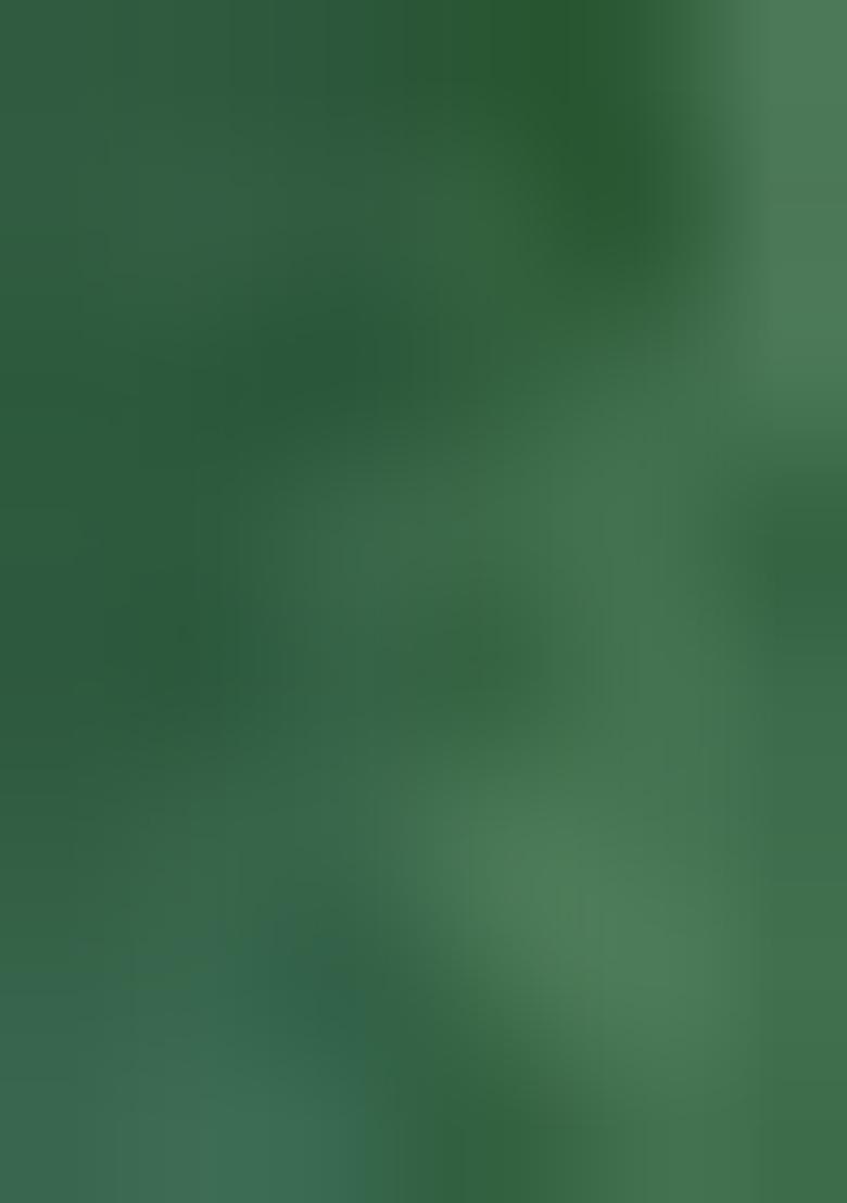 Green Sequence Embroidered Viscose Kurta For Men