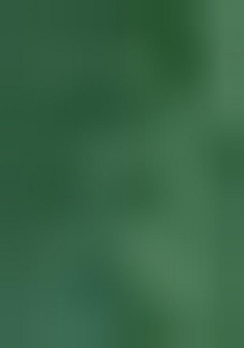 Green Sequence Embroidered Viscose Kurta For Men