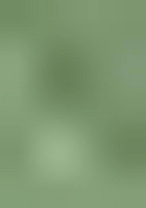 Green Sequence Embroidered Viscose Kurta For Men